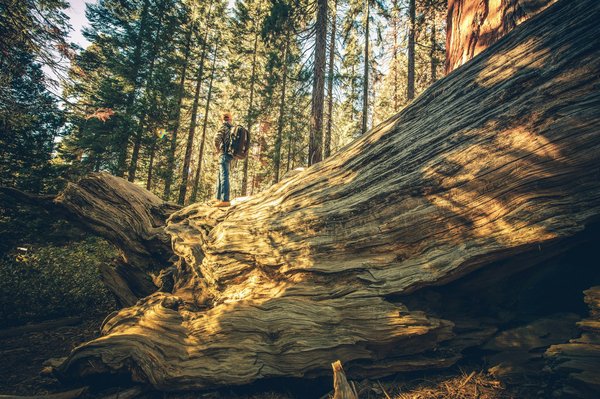 Où peut-on s'installer pour des vacances en Patagonie avec des randonnées guidées et des ateliers de photographie de nature?